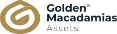 Golden Macadamias Assets