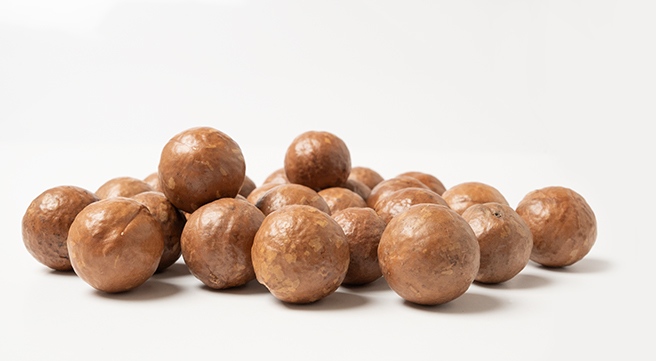 Nut-In-Shell macadamias