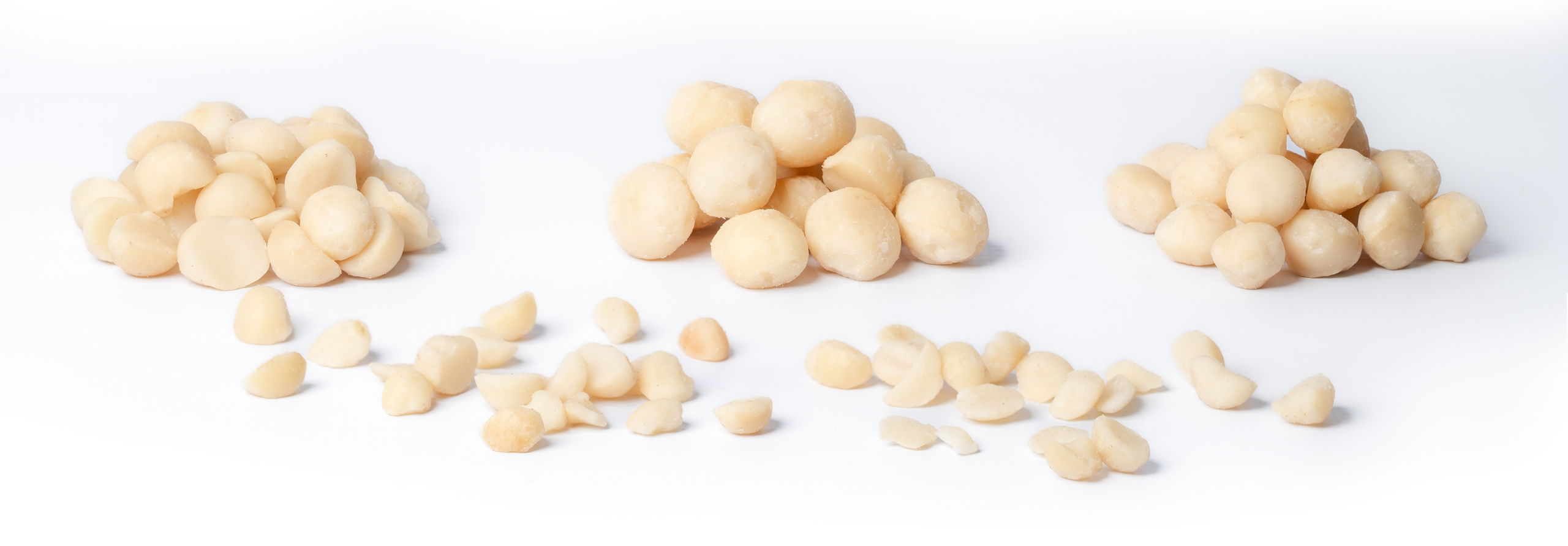 Macadamias