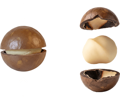Press Down on Nut