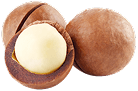 Macadamias