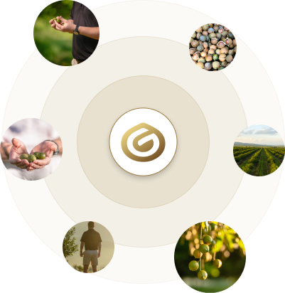 Golden Macadamias Community Hub