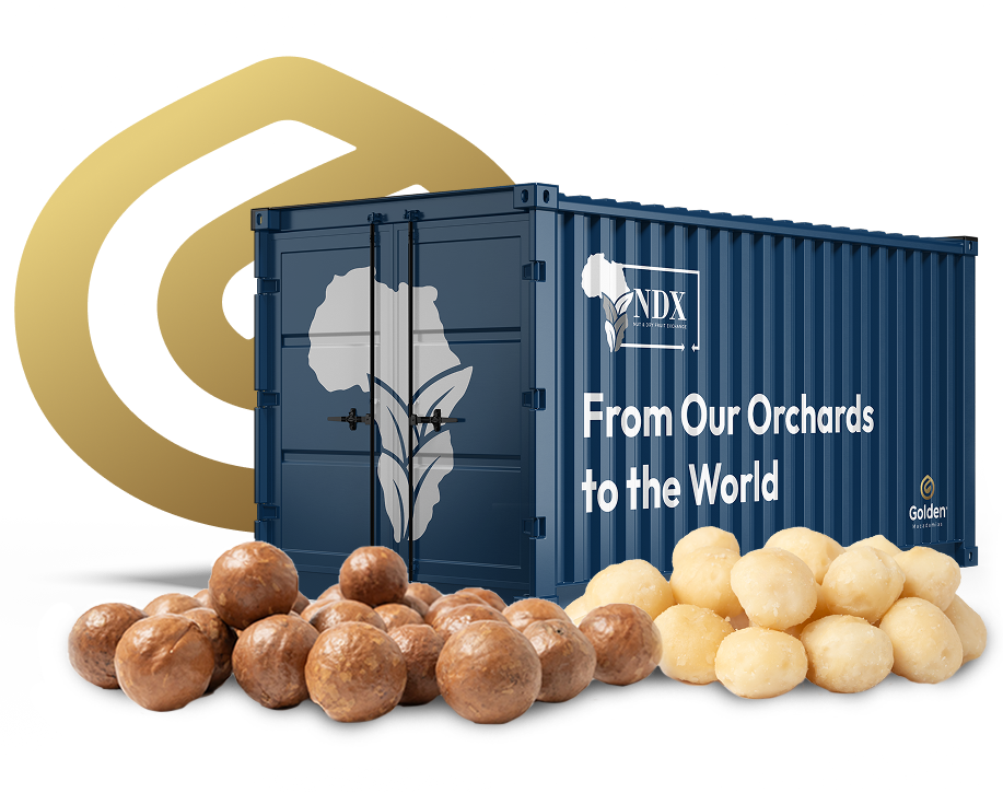 Golden macadamias branding