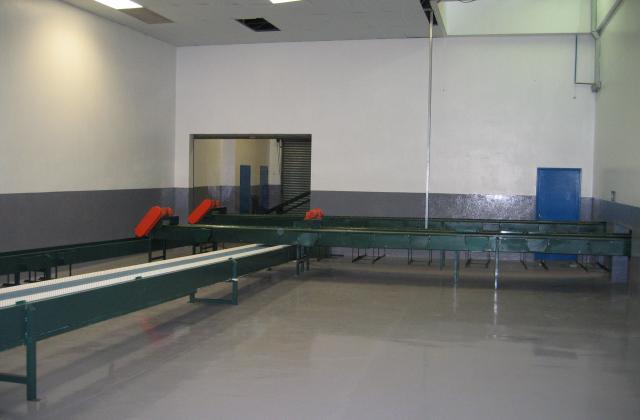 Factory Expansion - Processing & Office Development