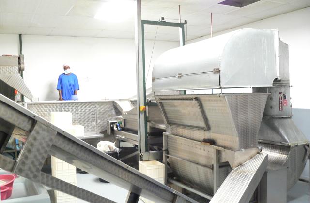 Upgraded Kernel Dryer